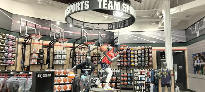 DICK'S House of Sport Picture 5