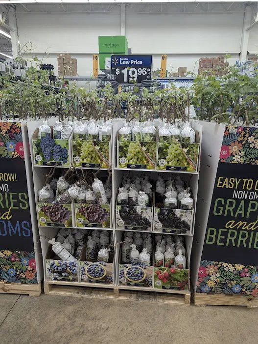 Walmart Supercenter Picture 3