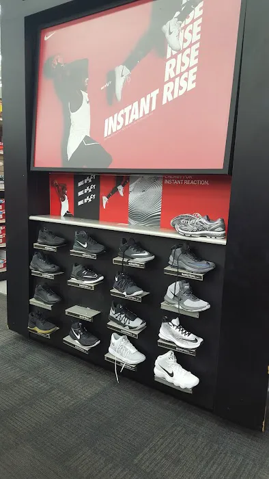 Academy Sports + Outdoors Picture 8