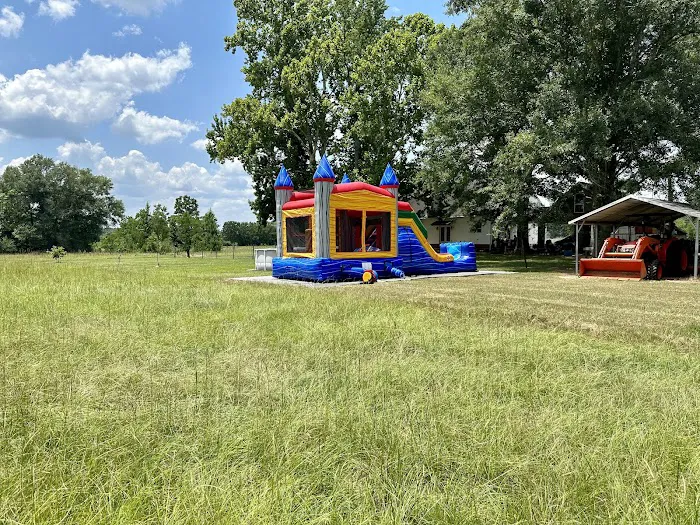 Cloud’s Jump & Fun, LLC Picture 2
