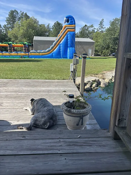 Cloud’s Jump & Fun, LLC Picture 5