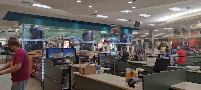 Scheels Picture 6