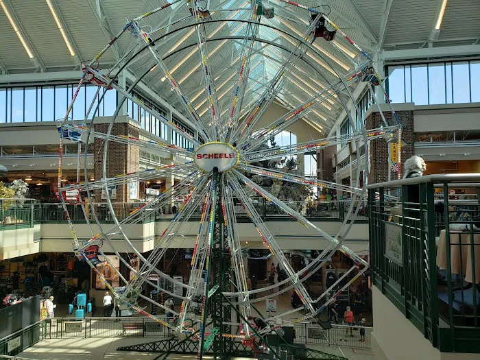 Scheels Picture 8