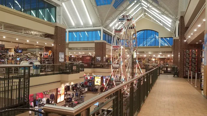 Scheels Picture 4