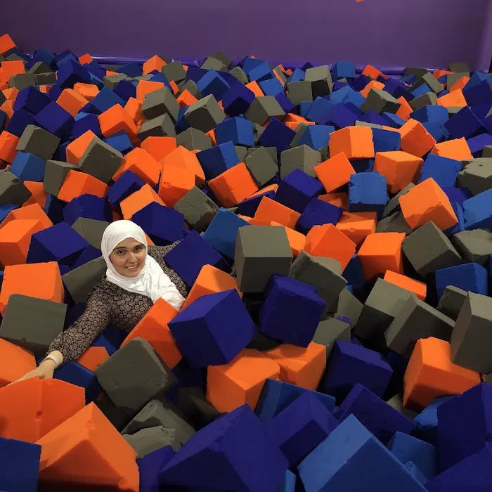 Altitude Trampoline Park BLOOMINGTON, IL Picture 9