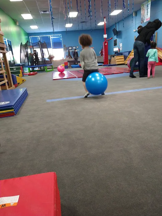My Gym Children's Fitness Center Picture 5