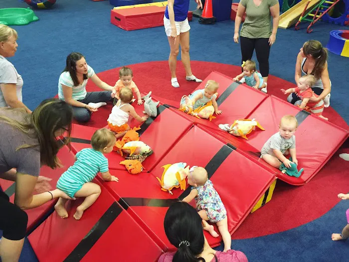 My Gym Children's Fitness Center Picture 10
