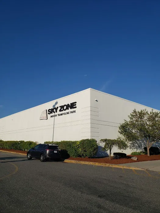 Sky Zone Trampoline Park Picture 3
