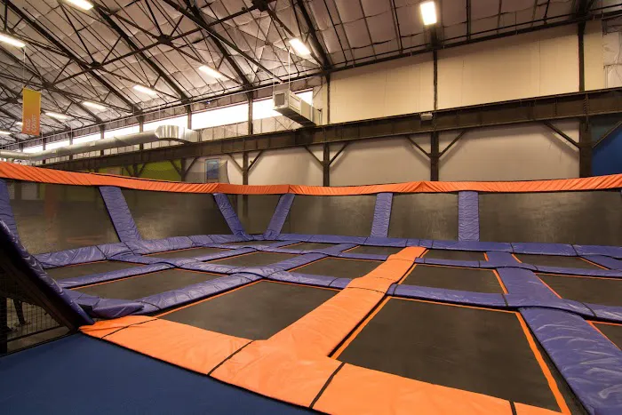 Sky Zone Trampoline Park Picture 3