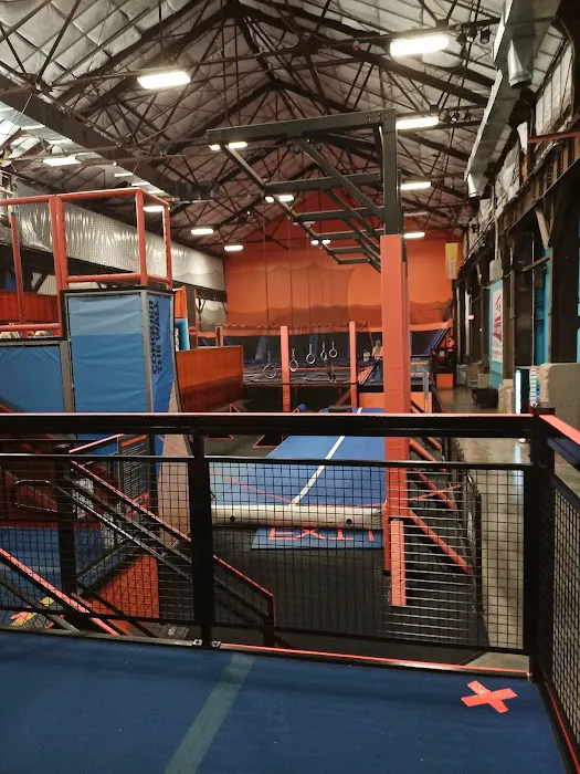 Sky Zone Trampoline Park Picture 2