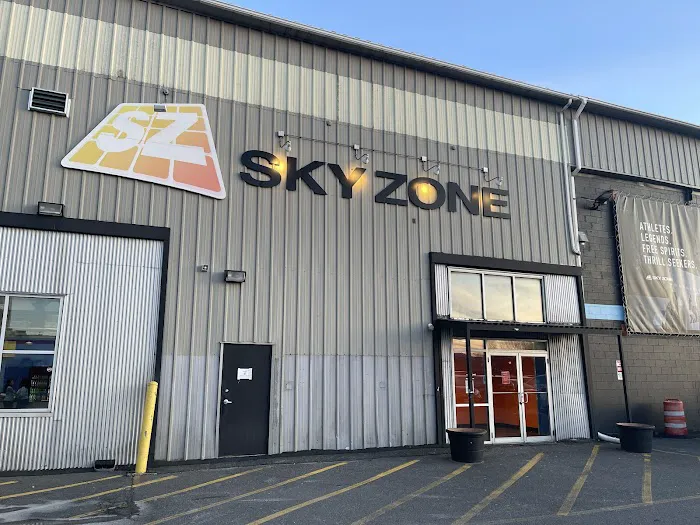 Sky Zone Trampoline Park Picture 7