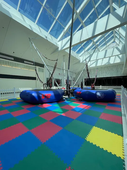 Jump Zone Bungee Trampoline Picture 1