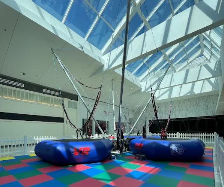 Jump Zone Bungee Trampoline