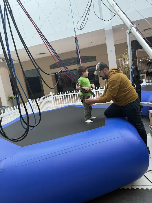Jump Zone Bungee Trampoline Picture 3