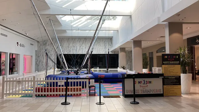 Jump Zone Bungee Trampoline Picture 8