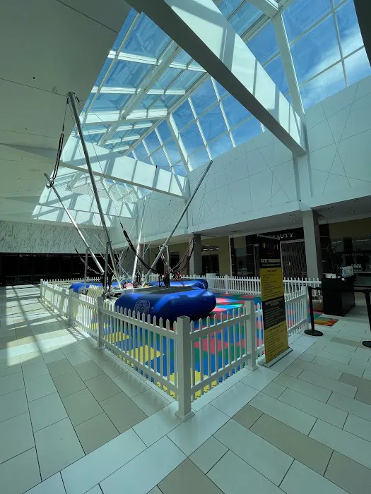 Jump Zone Bungee Trampoline Picture 6