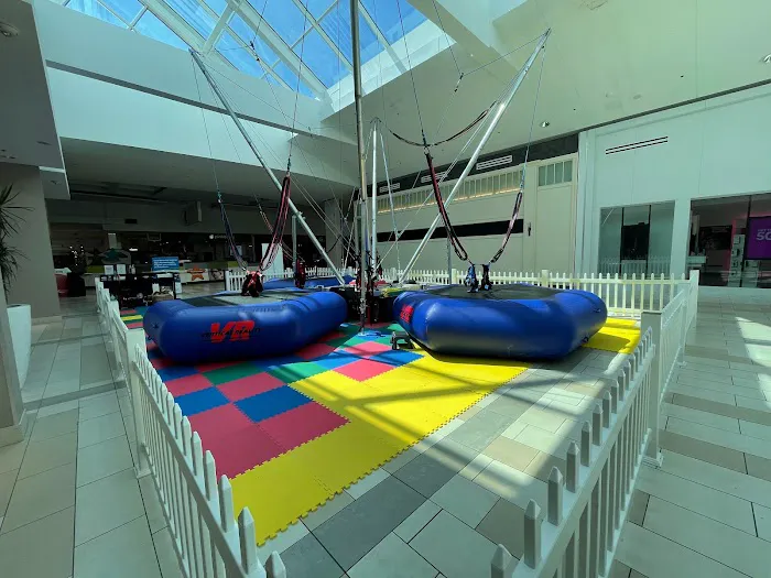 Jump Zone Bungee Trampoline Picture 7