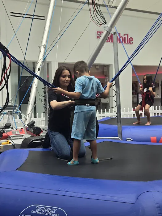 Jump Zone Bungee Trampoline Picture 10