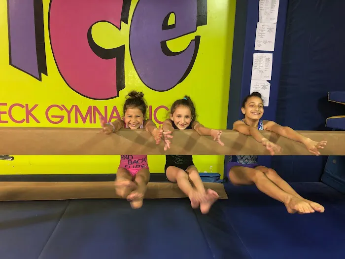 Bounce Gymnastics Inc. Picture 10
