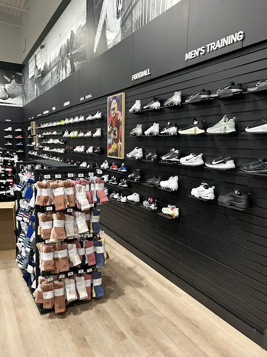 DICK'S Sporting Goods Picture 6