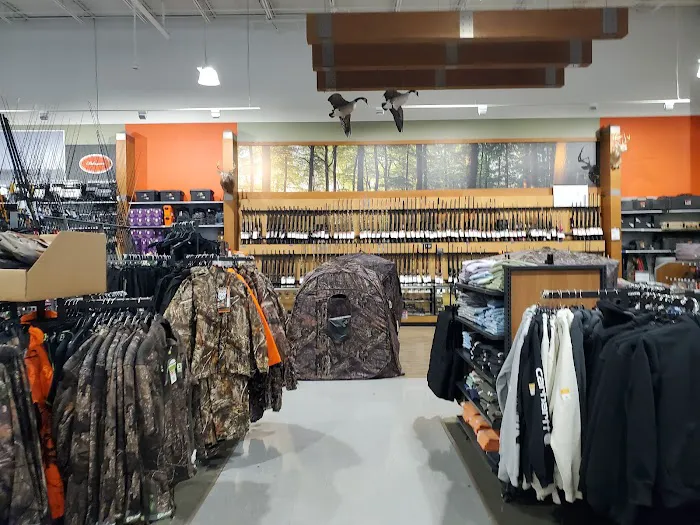 DICK'S Sporting Goods Picture 2