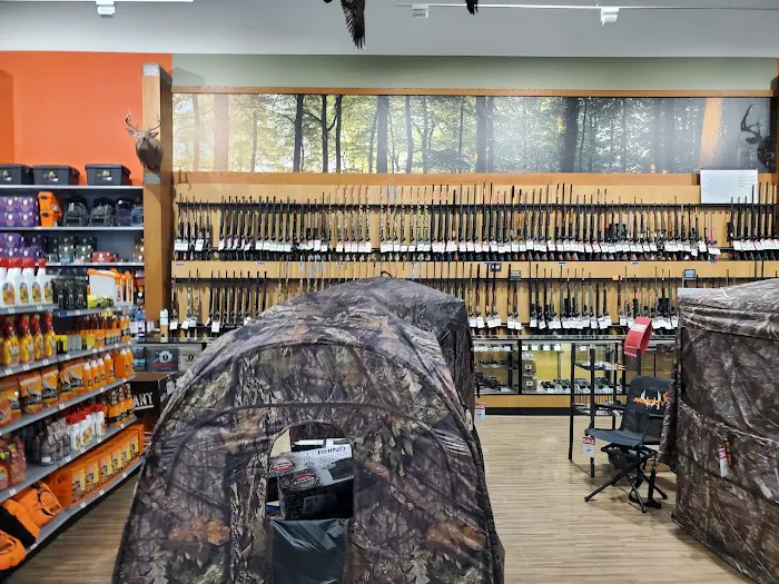 DICK'S Sporting Goods Picture 1