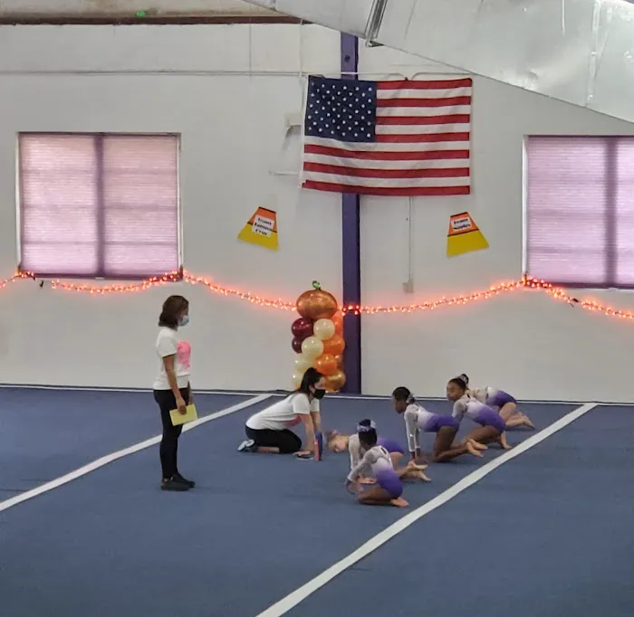 Horizon Gymnastics-Dance Academy Picture 1