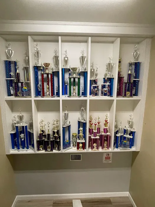Horizon Gymnastics-Dance Academy Picture 4