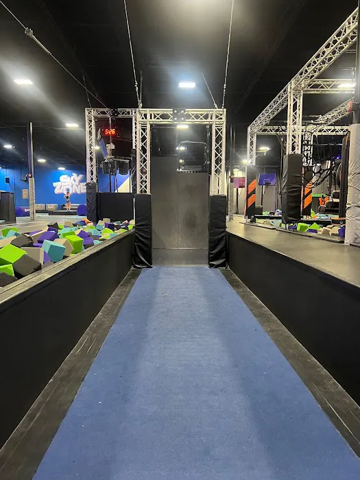 Sky Zone Trampoline Park Picture 6