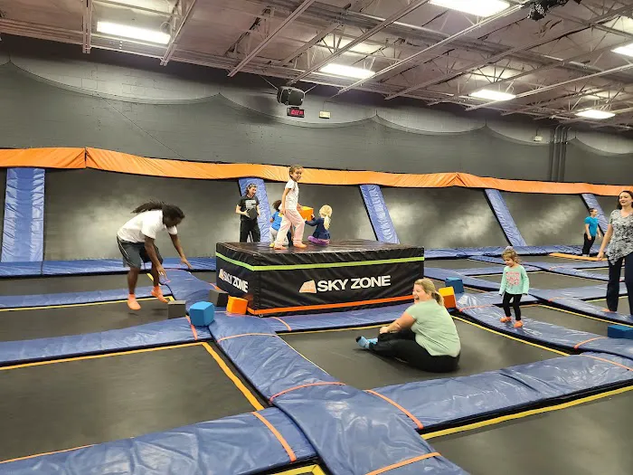 Sky Zone Trampoline Park Picture 1