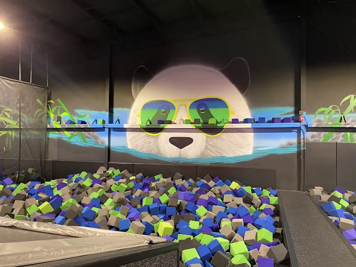 Sky Zone Trampoline Park Picture 5
