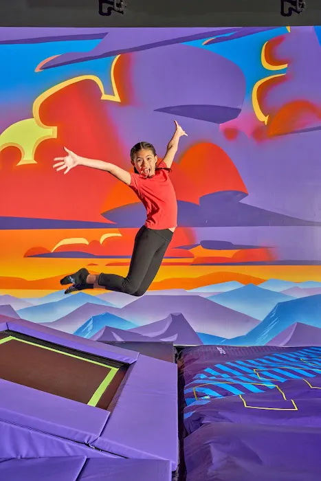 Altitude Trampoline Park Picture 6