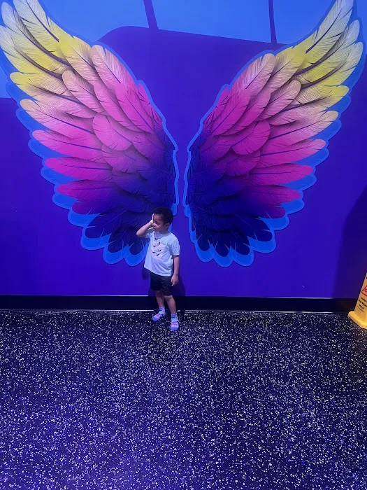 Altitude Trampoline Park Picture 4