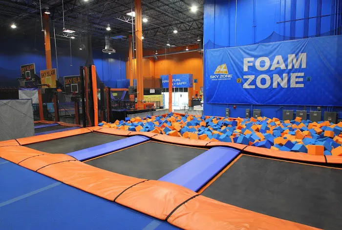 Sky Zone Fort Lauderdale Picture 4