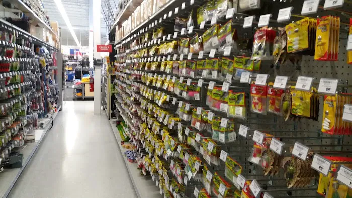 Academy Sports + Outdoors Picture 6