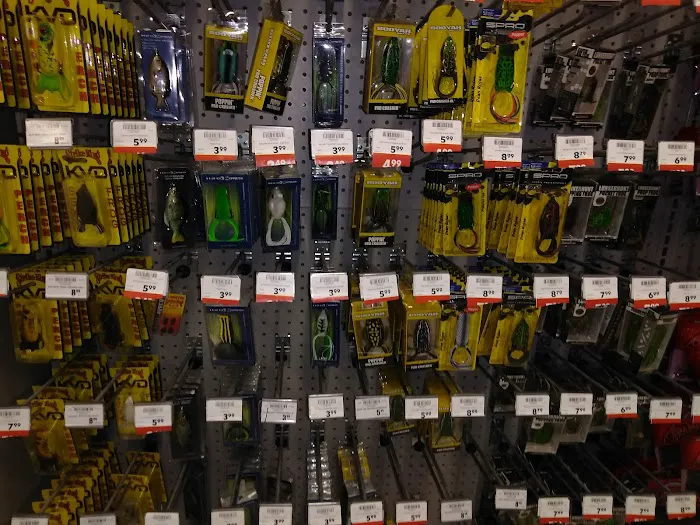 Academy Sports + Outdoors Picture 4