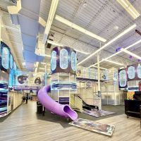 Cosmic Air Adventure Park & Arcade ico