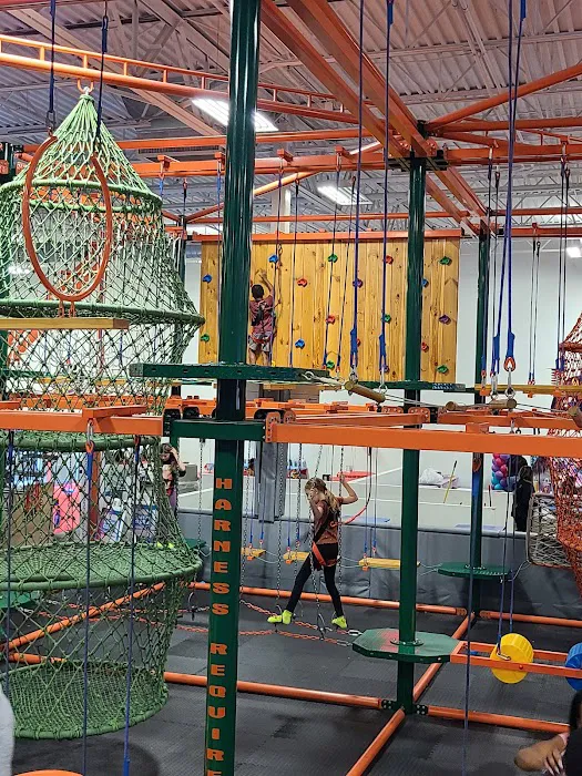 Cosmic Air Adventure Park & Arcade Picture 4
