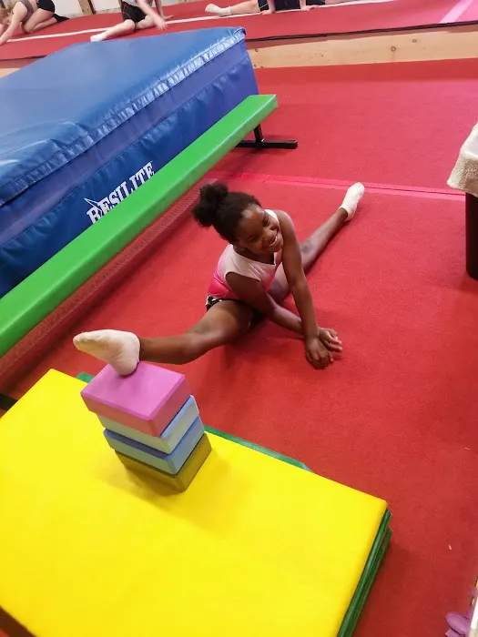USA Trampoline & Tumbling Academy Picture 6