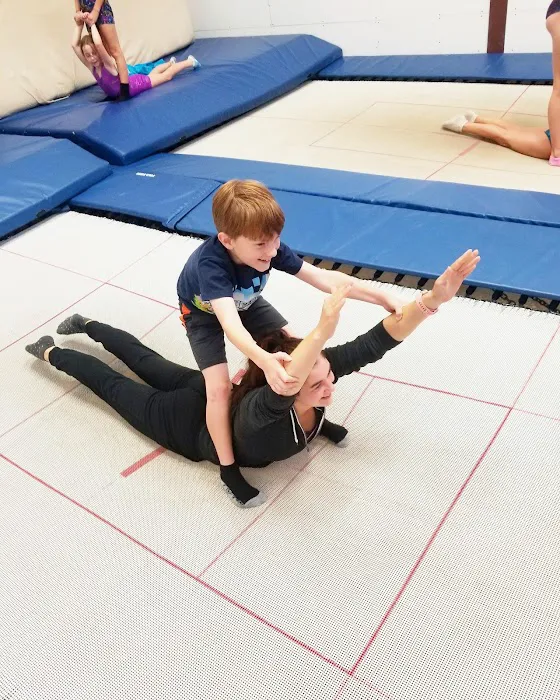 USA Trampoline & Tumbling Academy Picture 10