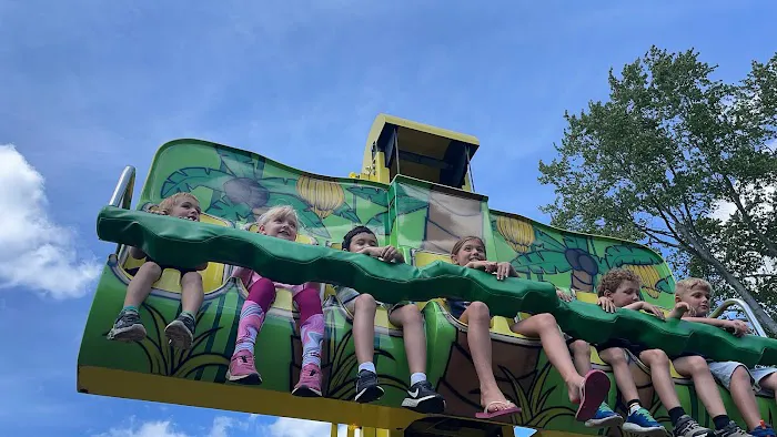 Jungle Bounce Picture 1