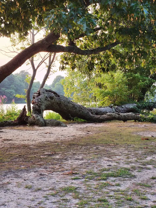 Brookwood Hall Park Picture 8
