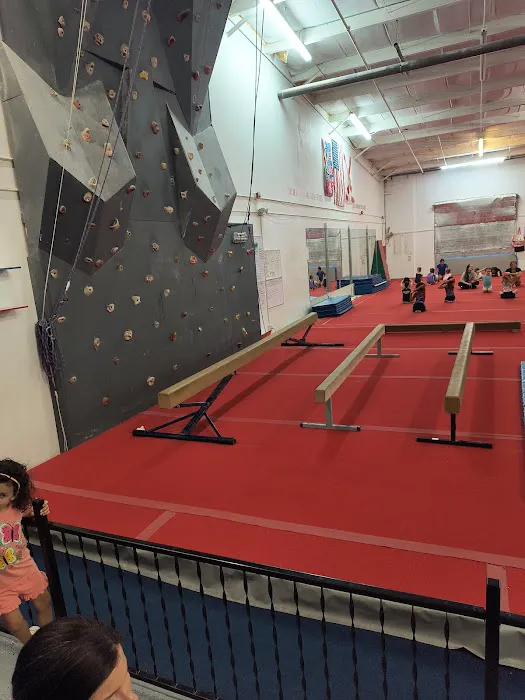Southern Starz Gymnastics Picture 1