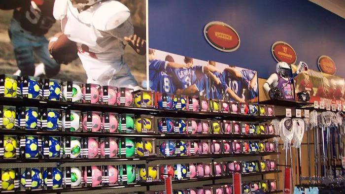 DICK'S Sporting Goods Picture 4