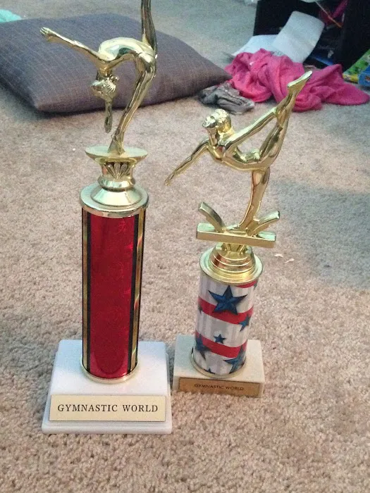 Gymnastics World Fort Myers Picture 10