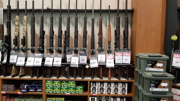 DICK'S Sporting Goods Picture 5