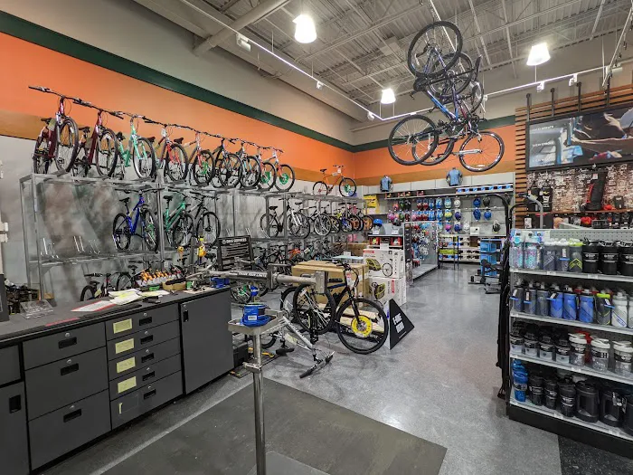 DICK'S Sporting Goods Picture 9