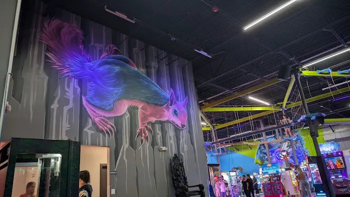 Flying Squirrel Trampoline Park Picture 3