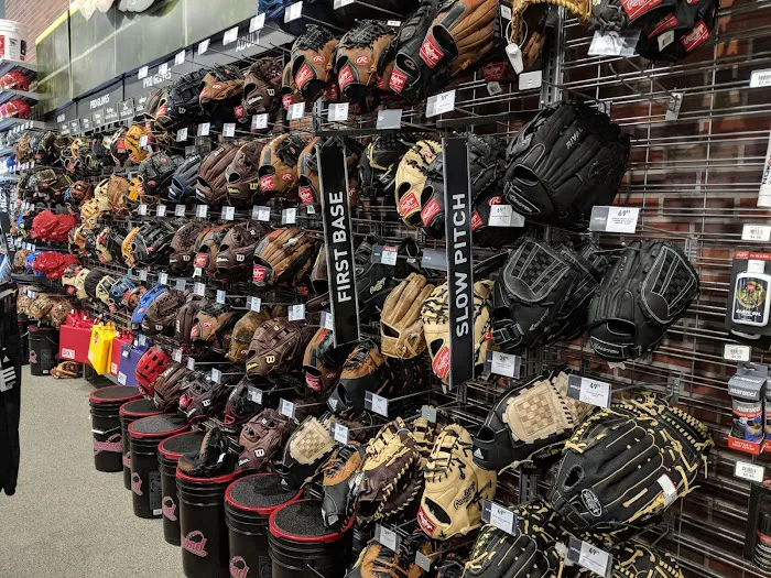 DICK'S Sporting Goods Picture 8