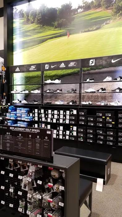 DICK'S Sporting Goods Picture 6